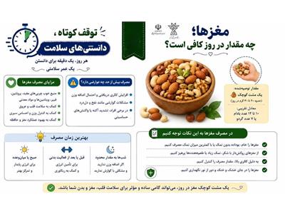مغزها؛ چه مقدار در روز کافی است؟
