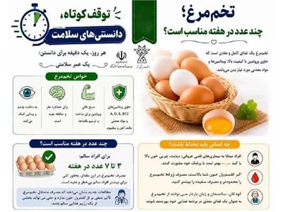 تخم‌مرغ؛ چند عدد در هفته مناسب است؟