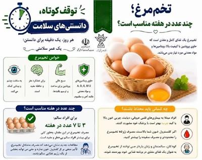 تخم‌مرغ؛ چند عدد در هفته مناسب است؟